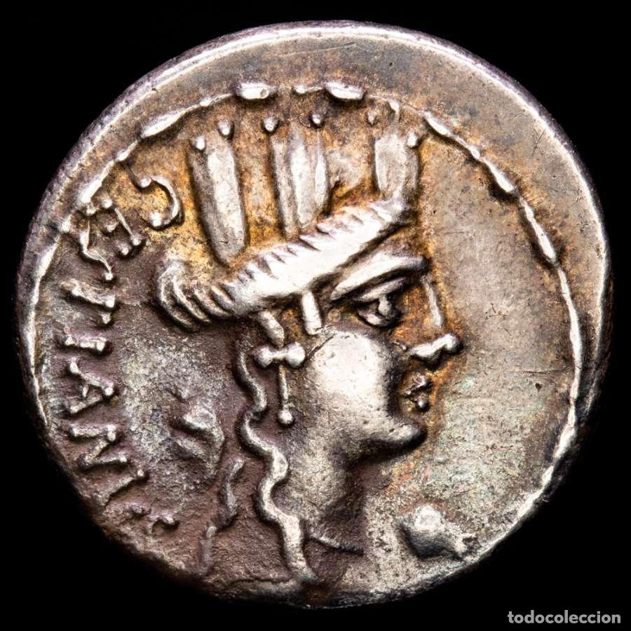 Monedas Roma Rep&uacute;blica: Roma 67 aC. M Plaetorius Mf. Cestianus. Denario. Silla Curul (5820)