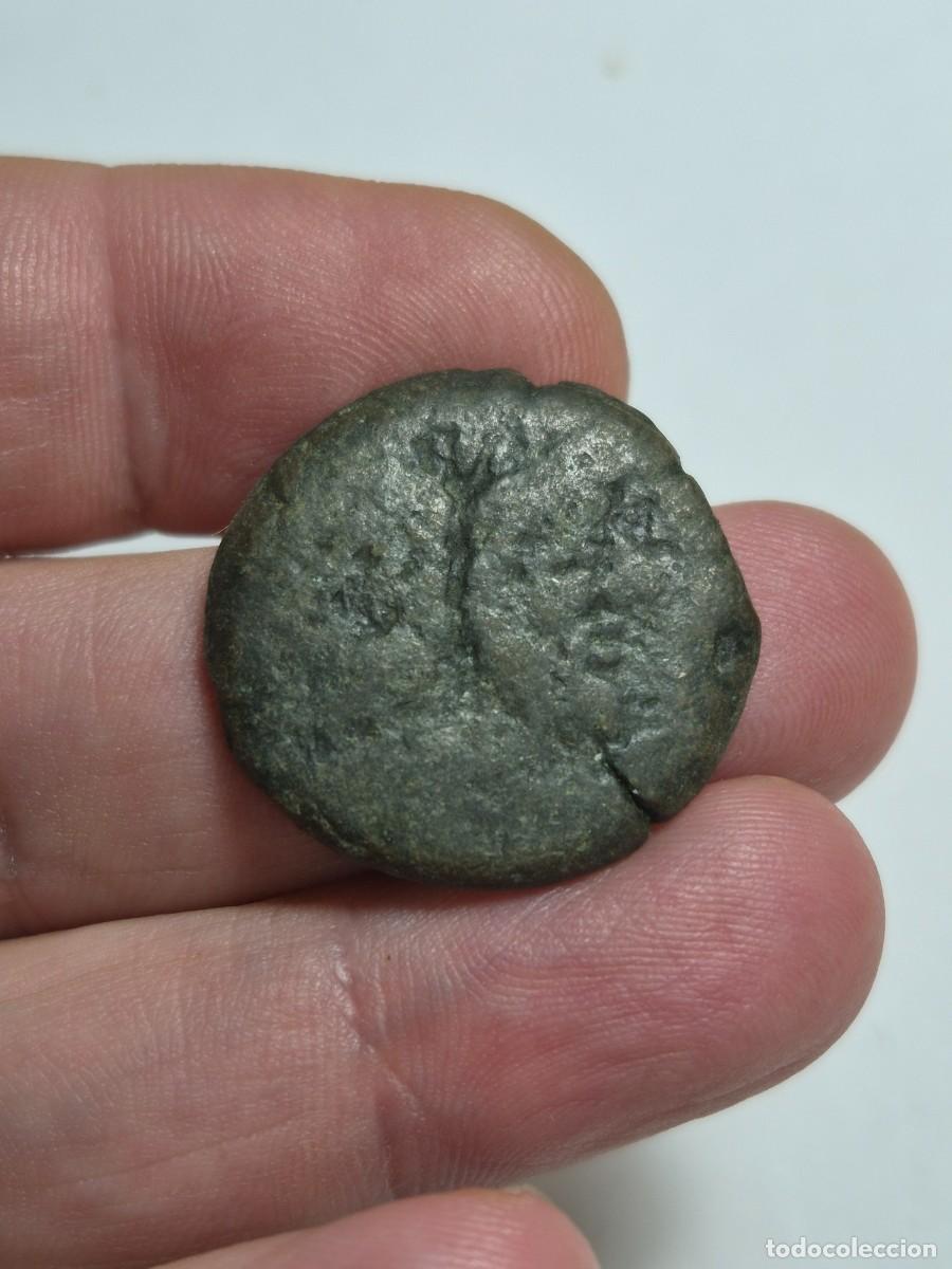 Monedas Roma Rep&uacute;blica: NT/ REPUBLICA ROMANA JANO/PROA DE NAVE 17.78 GR (A1777)