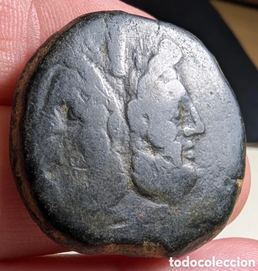 Monedas Roma Rep&uacute;blica: As romano republicano an&oacute;nimo 179-170 a.C. &rdquo;Delf&iacute;n&rdquo;