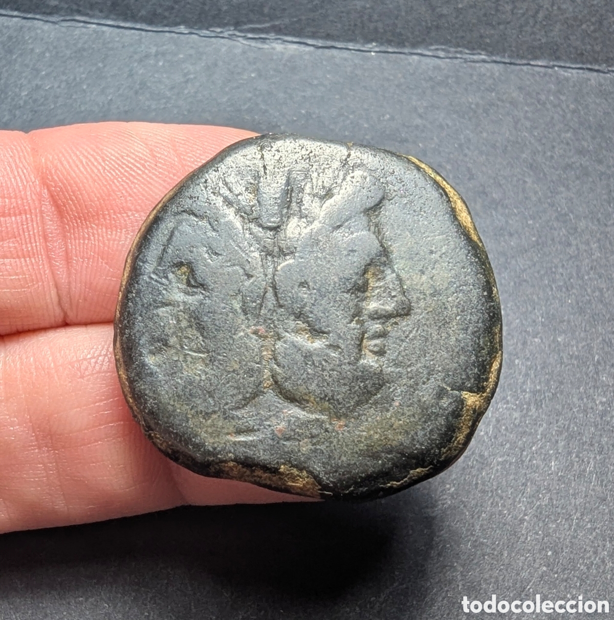Monedas Roma Rep&uacute;blica: As romano republicano an&oacute;nimo 179-170 a.C. &rdquo;Delf&iacute;n&rdquo;