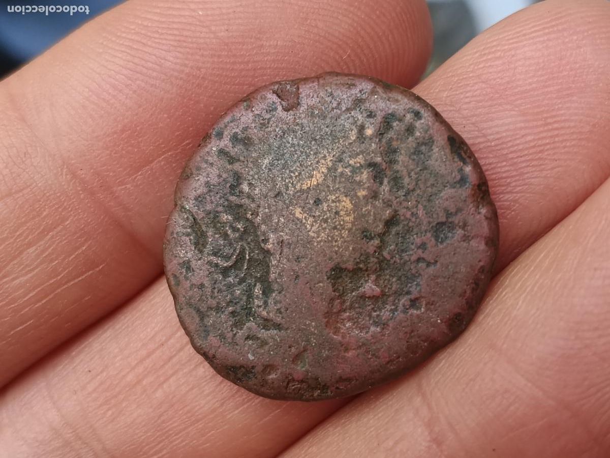 Monedas Roma Rep&uacute;blica: SEMIS HISPANO ROMANO sin clasificar