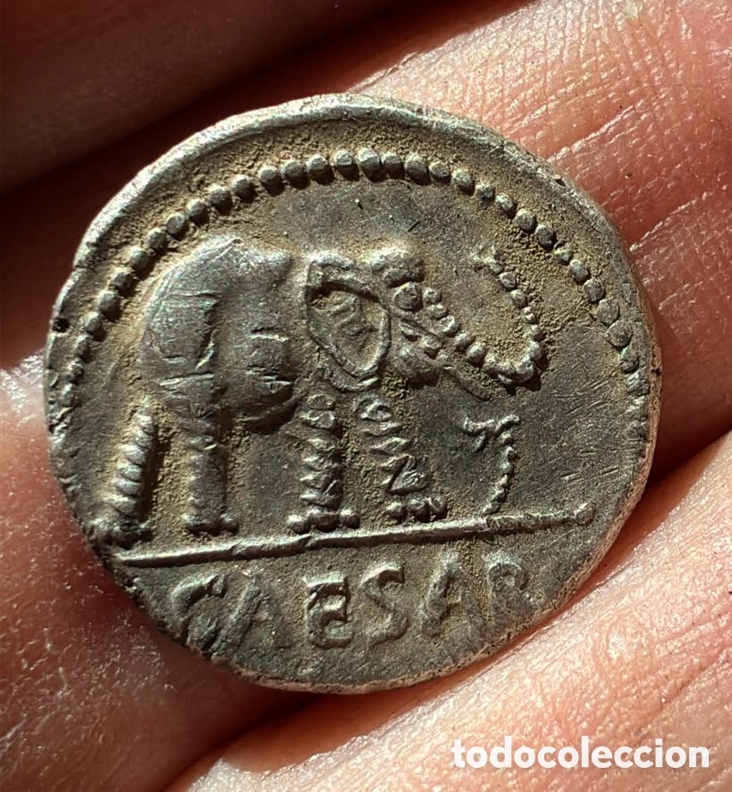 Monedas Roma Rep&uacute;blica: Denario plata Julio Cesar. Elefante. 49 a.C