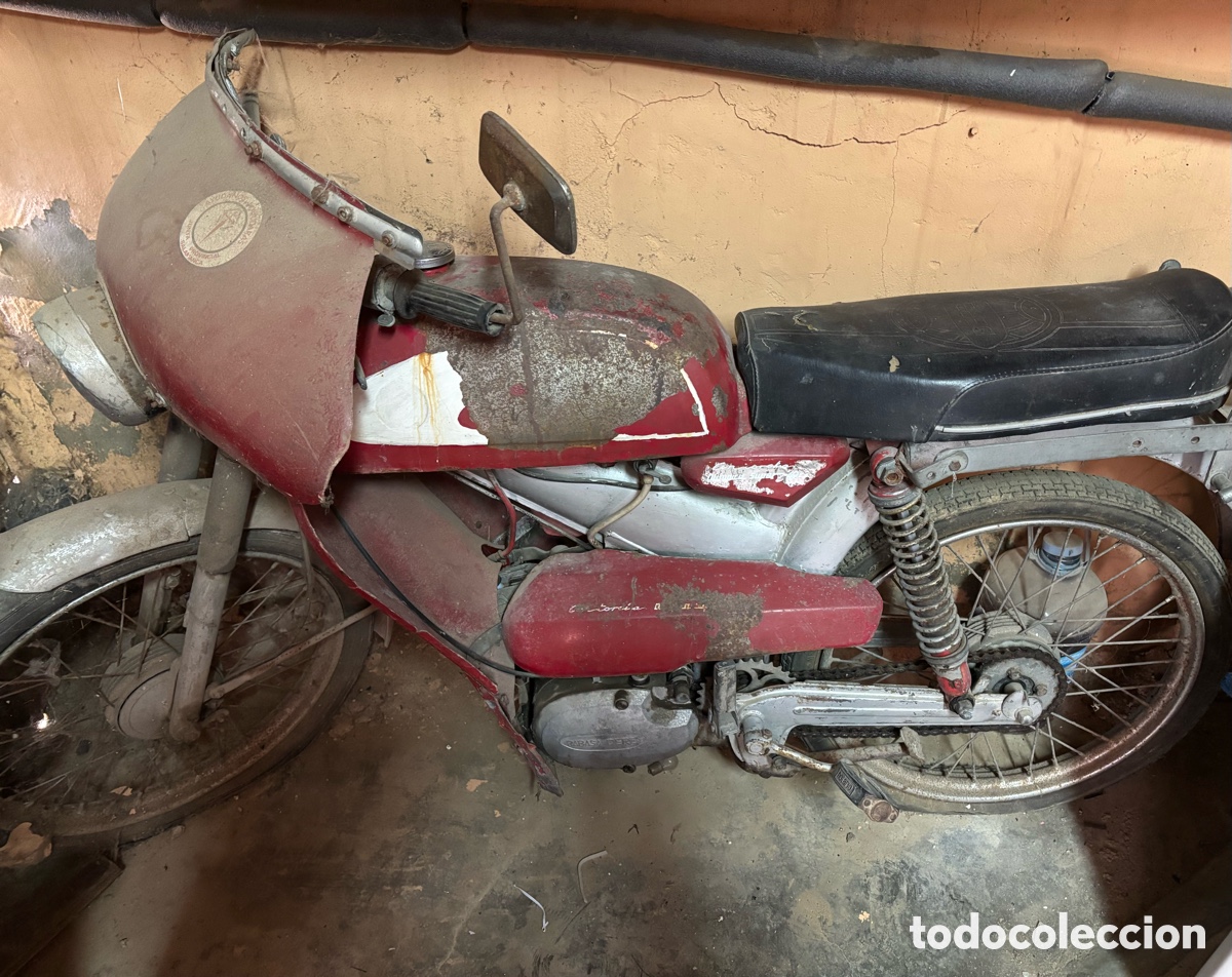 Motos: Antorcha, ol&iacute;mpica, campe&oacute;n - Foto 4