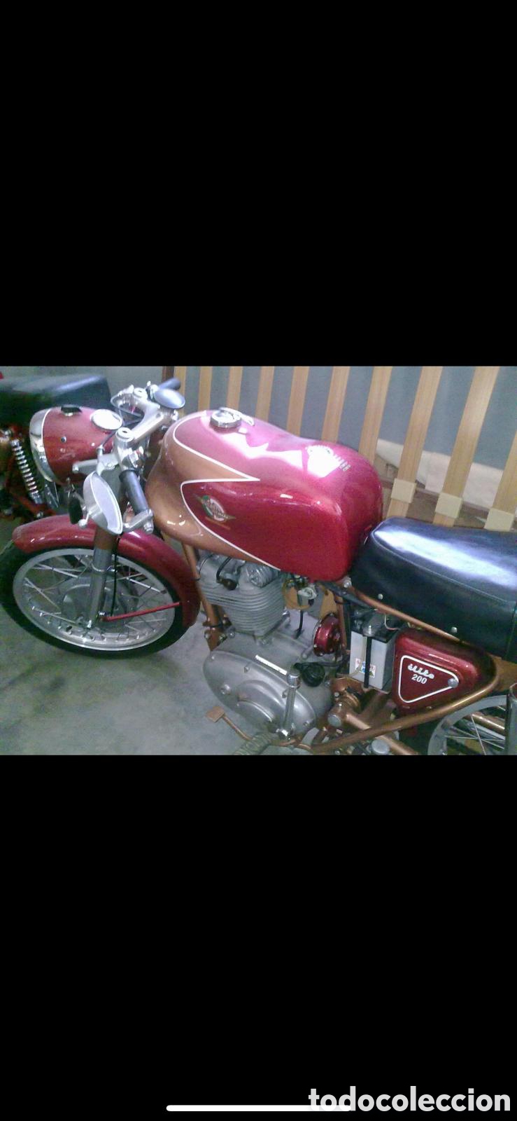 Motos: DUCATI 200 TS - 1962 - Foto 2