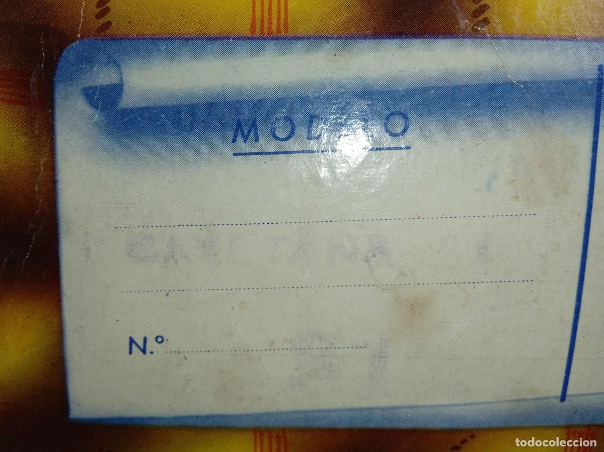 Mu&ntilde;eca Cayetana: Mu&ntilde;eca CAYETANA : Mu&ntilde;ecas DIANA - Foto 10
