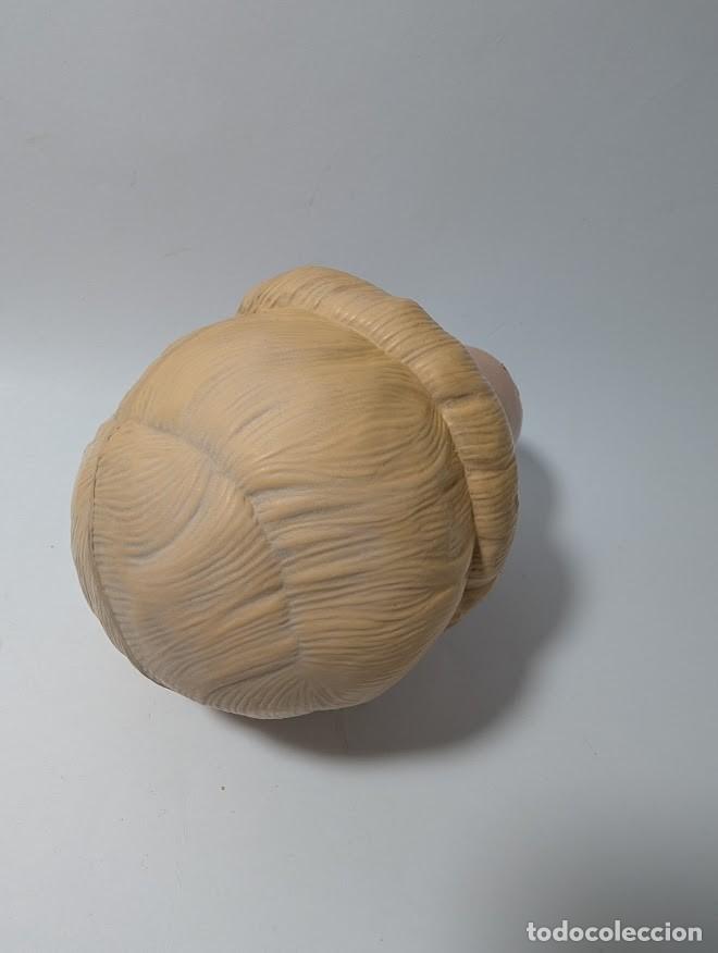 Mu&ntilde;eca espa&ntilde;ola clasica: MU&Ntilde;ECA ICSA DE CELULOIDE - 50 cm - Foto 9