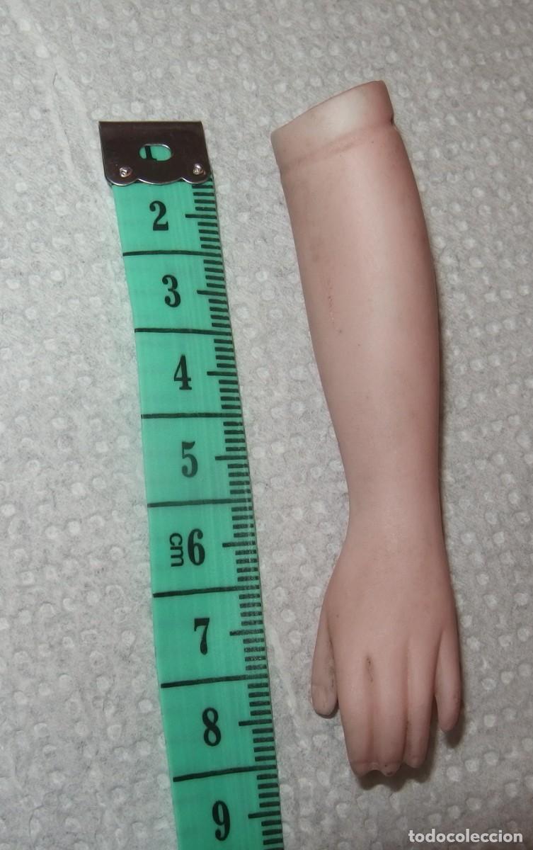 Mu&ntilde;eca espa&ntilde;ola clasica: BRAZO IZQUIERDO DE MU&Ntilde;ECA DE PORCELANA,DE PRINCIPIO DEL SIGLO XX