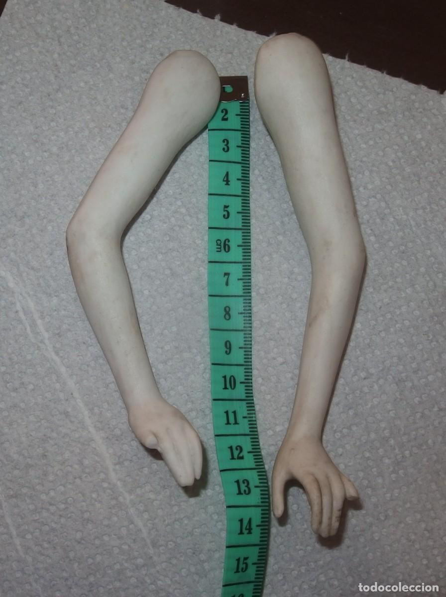 Mu&ntilde;eca espa&ntilde;ola clasica: BRAZOS MU&Ntilde;ECA DE PORCELANA,PRINCIPIO S.XX,LOTE 2