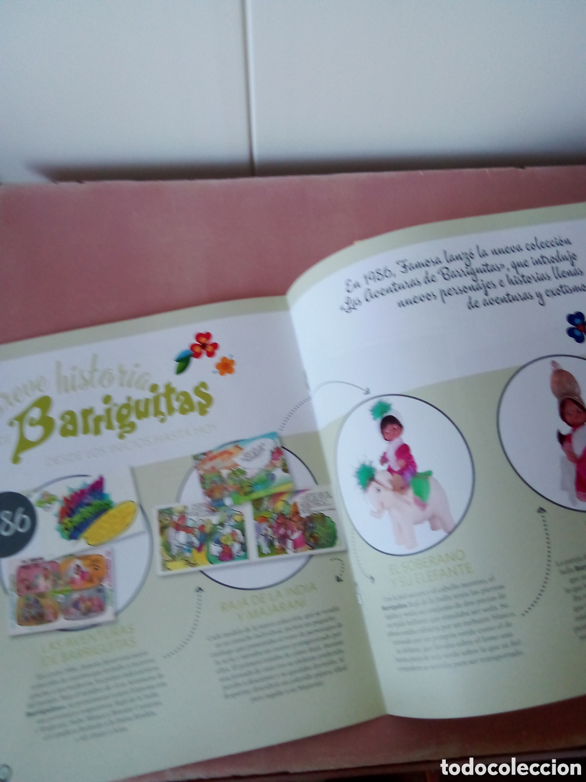 Mu&ntilde;ecas Lesly y Barriguitas: Mu&ntilde;eca Barriguitas del mundo - Foto 5