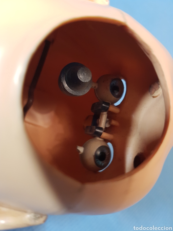 Mu&ntilde;ecas celuloide: Cabeza mu&ntilde;eco celuloide - Foto 5