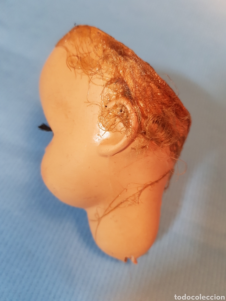 Mu&ntilde;ecas celuloide: Cabeza de mu&ntilde;eca Furga ,Italiana celuloide - Foto 2