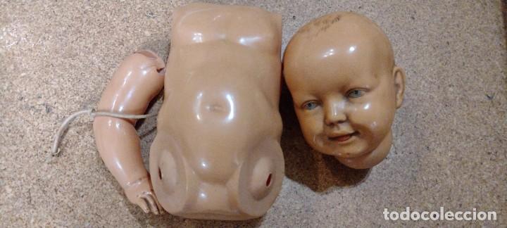 Mu&ntilde;ecas celuloide: Cabeza, cuerpo y brazo para bebe celuloide marca tortuga - Foto 1