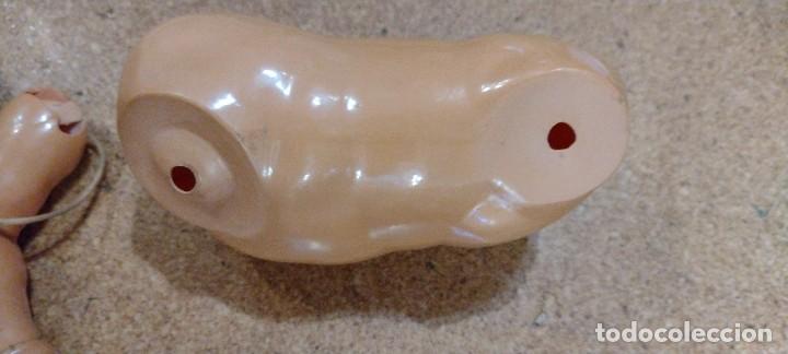 Mu&ntilde;ecas celuloide: Cabeza, cuerpo y brazo para bebe celuloide marca tortuga - Foto 8
