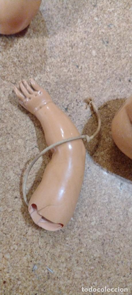 Mu&ntilde;ecas celuloide: Cabeza, cuerpo y brazo para bebe celuloide marca tortuga - Foto 10