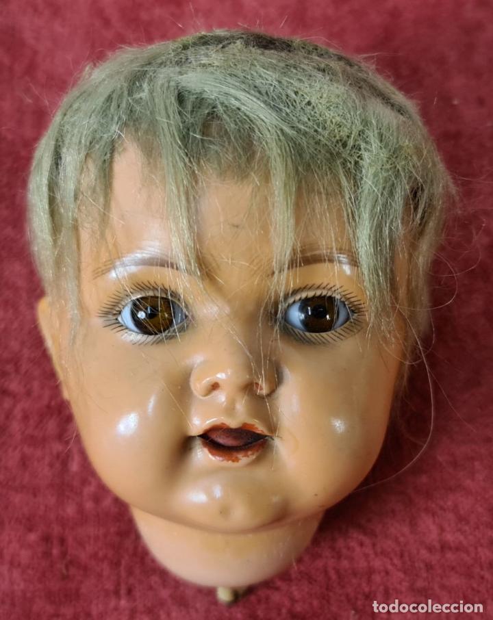 Mu&ntilde;ecas celuloide: MU&Ntilde;ECA BEBE EN CELULOIDE. KAMMER AND REINHARDT. ALEMANIA. CIRCA 1920 - Foto 9