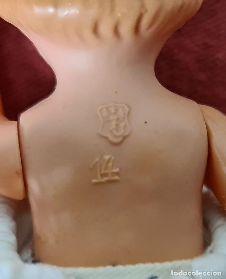 Mu&ntilde;ecas celuloide: COLECCION DE 17 MU&Ntilde;ECAS DE CELULOIDE. OJOS BASCULANTES. A&Ntilde;OS 40/50. - Foto 35