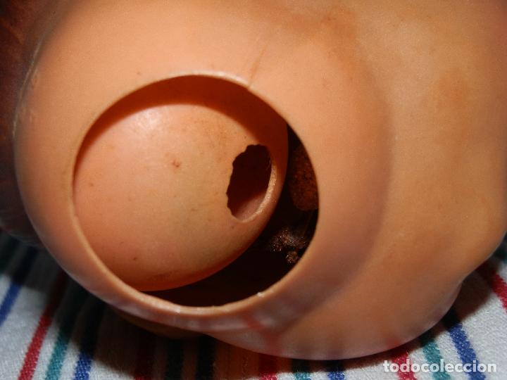 Mu&ntilde;ecas celuloide: ANTIGUA CABEZA DE MU&Ntilde;ECO DE CELULOIDE - Foto 5