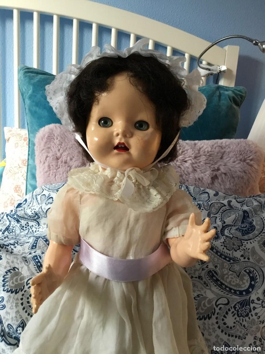 Mu&ntilde;ecas celuloide: PRECIOSA MU&Ntilde;ECA DECELULOIDE DURO INGLESA DE LA MARCA PEDIGREE. A&Ntilde;OS 50