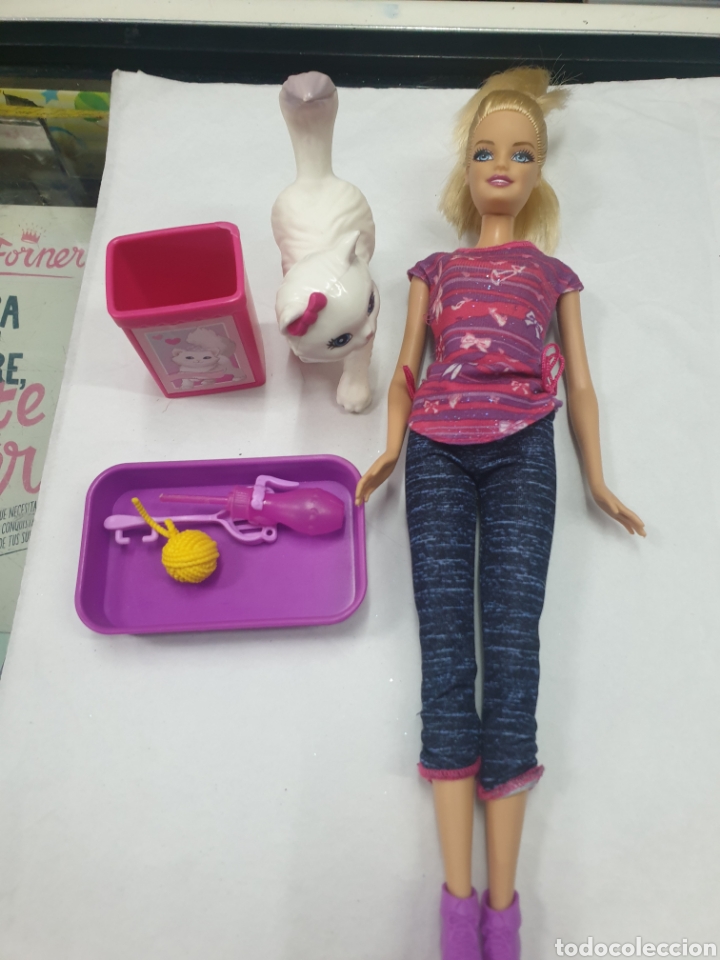 barbie con gato