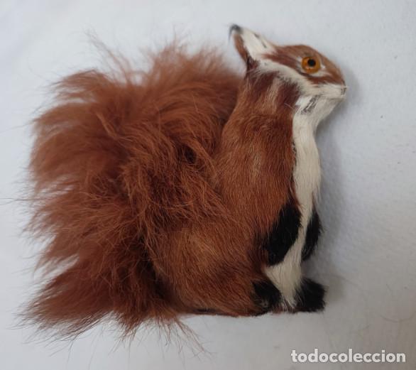 Mu&ntilde;ecas espa&ntilde;olas modernas: ARDILLA, MU&Ntilde;ECO REALISTA - Foto 3