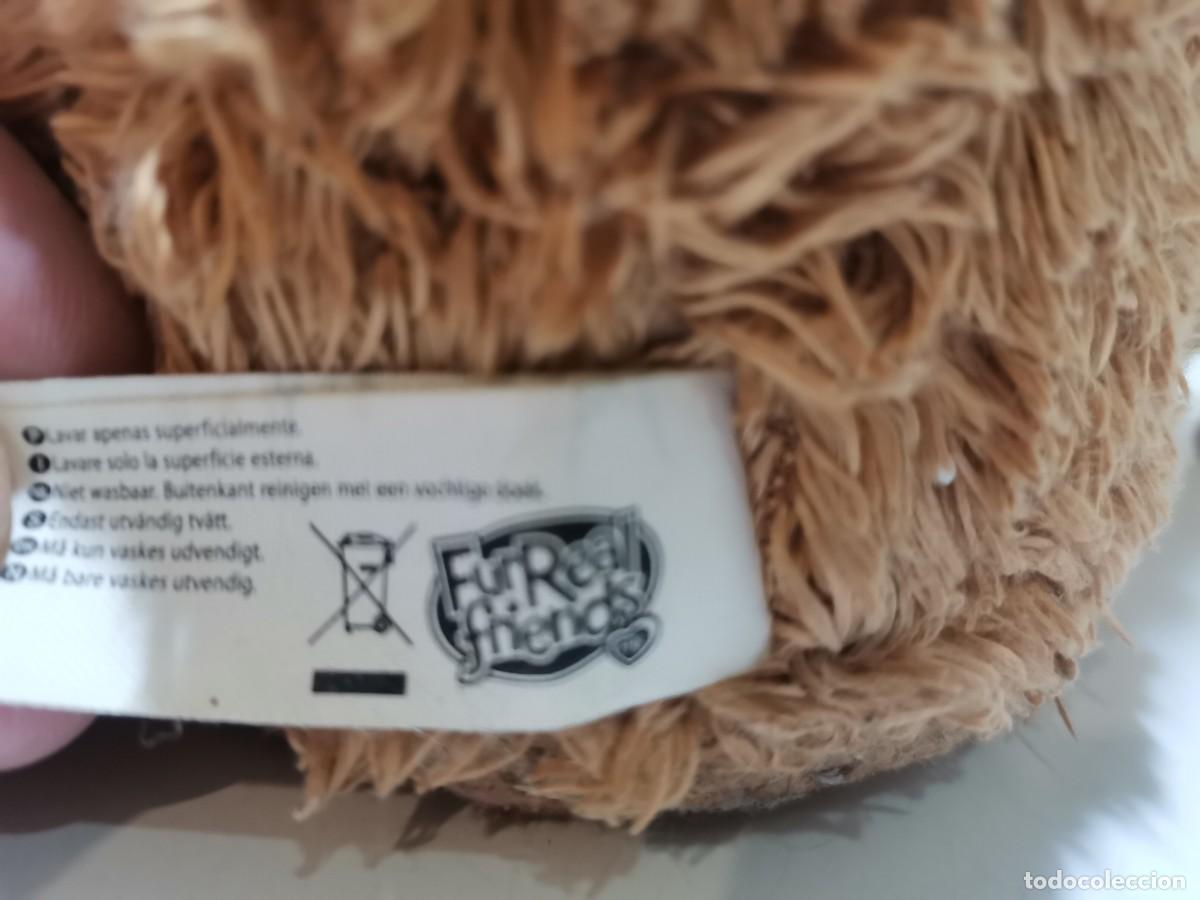 Mu&ntilde;ecas espa&ntilde;olas modernas: mu&ntilde;eca moni monita interactiva - Foto 8