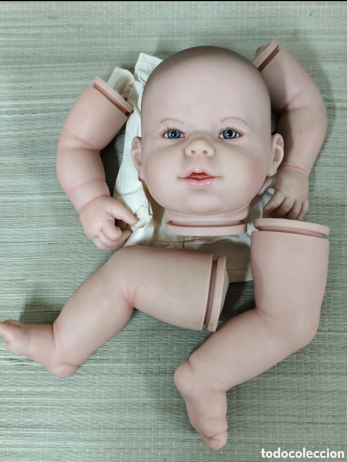 Mu&ntilde;ecas espa&ntilde;olas modernas: Kit reborn mu&ntilde;eco marca dolls by Berenguer. berjusa. Certificado de autenticidad 0821