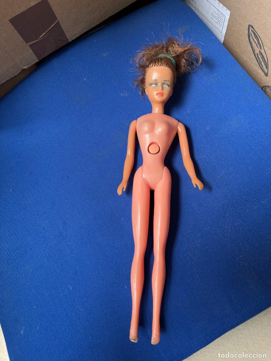 Mu&ntilde;ecas espa&ntilde;olas modernas: Tracy -Novogama - Mu&ntilde;eca tipo Barbie de los a&ntilde;os 60- le crece el pelo