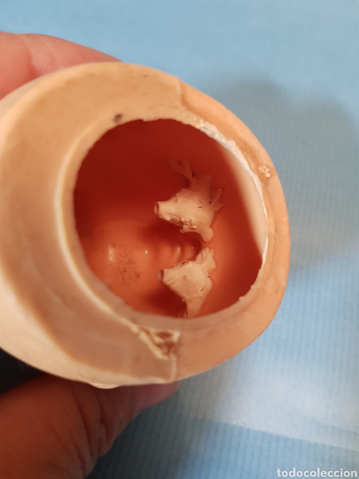 Mu&ntilde;ecas extranjeras: Cabeza de mu&ntilde;eca , celuloide , ojos de cristal - Foto 6