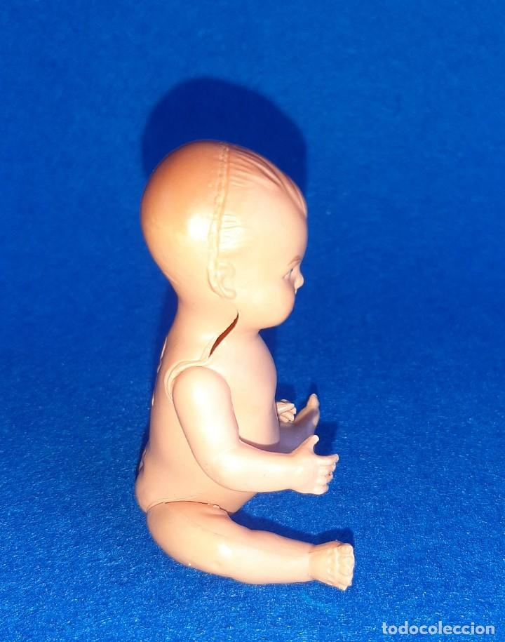 Mu&ntilde;ecas extranjeras: Mu&ntilde;eco beb&eacute; alem&aacute;n celuloide Minerva - Foto 5