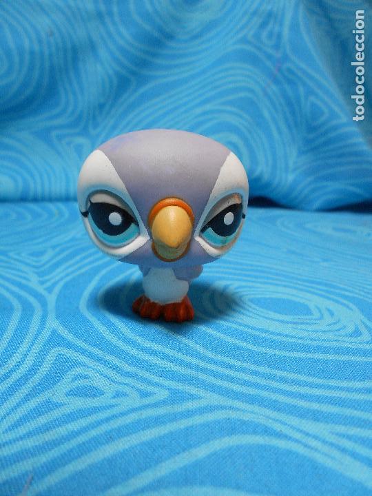 Mu&ntilde;ecas modernas: FIGURA MASCOTA PETS LORO HASBRO 2008 REF (3) - Foto 1