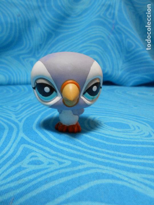Mu&ntilde;ecas modernas: FIGURA MASCOTA PETS LORO HASBRO 2008 REF (3) - Foto 3