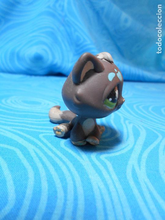 Mu&ntilde;ecas modernas: FIGURA MASCOTA PETS GATO HASBRO 2005 REF (3) - Foto 2