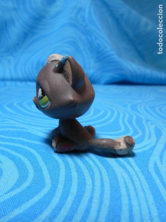 Mu&ntilde;ecas modernas: FIGURA MASCOTA PETS GATO HASBRO 2005 REF (3) - Foto 3