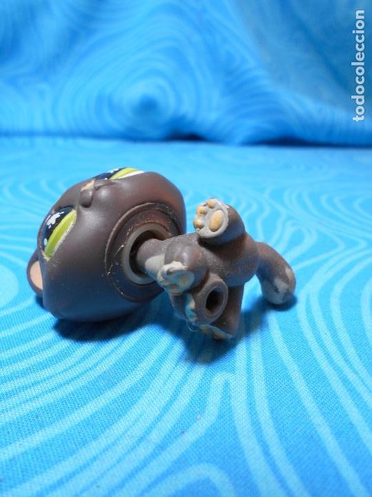 Mu&ntilde;ecas modernas: FIGURA MASCOTA PETS GATO HASBRO 2005 REF (3) - Foto 5