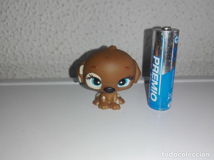 Mu&ntilde;ecas modernas: mu&ntilde;eco figura perro little pet shop lps Cpp - Foto 1