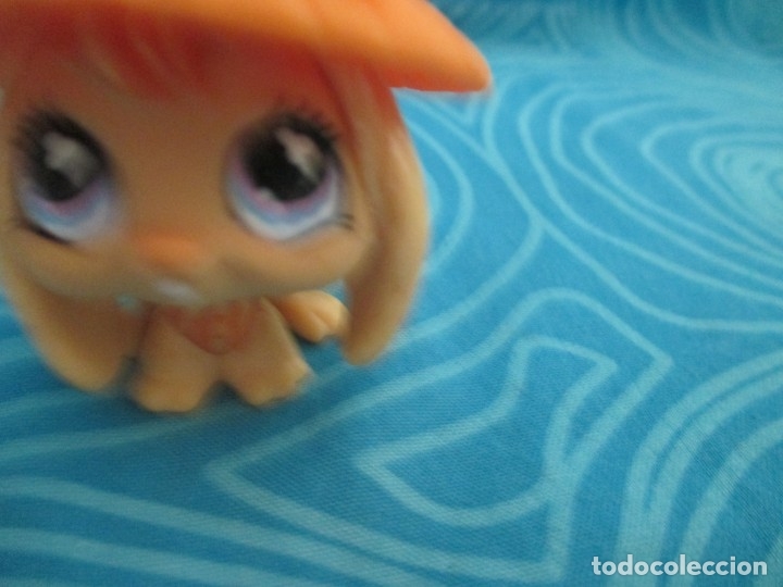 Mu&ntilde;ecas modernas: GRAN LOTE LITTLEST PETSHOP - Foto 14