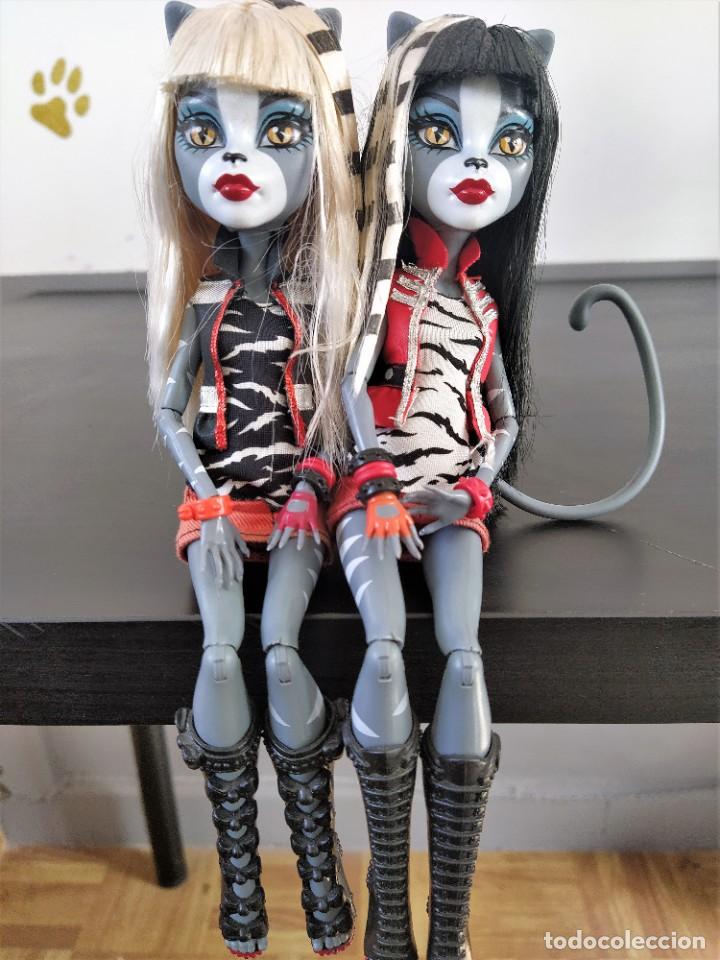 monster high purrsephone