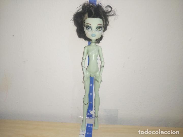 Mu&ntilde;ecas modernas: Mu&ntilde;eca Monster high frankie - Foto 5
