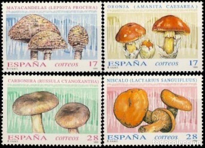 Bonecas Modernas: Espa&ntilde;a. A&ntilde;o 1993, Edifil 3244/47** ''Micolog&iacute;a''./ Nuevos, sin fijasellos. MNH.