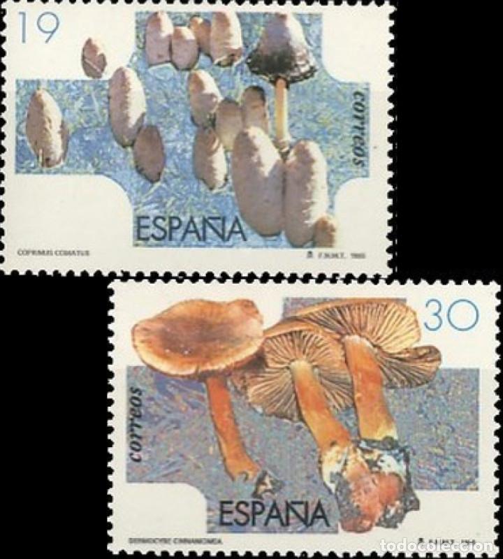 Bambole Moderne: Espa&ntilde;a. A&ntilde;o 1995, Edifil 3341/42** ''Micolog&iacute;a''./ Nuevos, sin fijasellos. MNH.