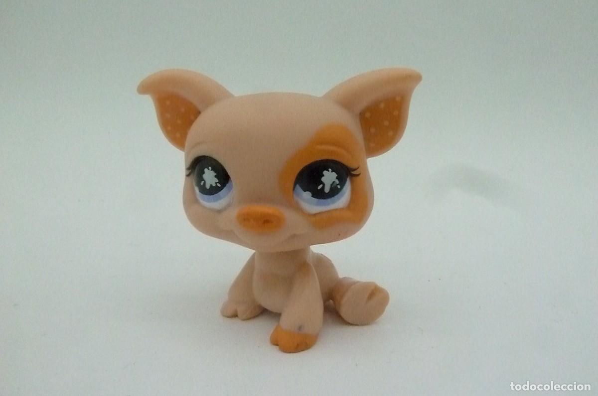 Mu&ntilde;ecas modernas: Littlest pet shop. Cerdito - Foto 2