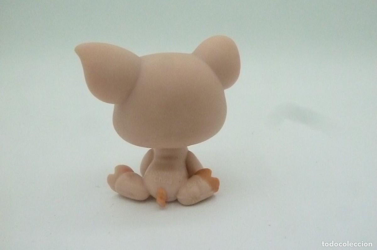 Mu&ntilde;ecas modernas: Littlest pet shop. Cerdito - Foto 3