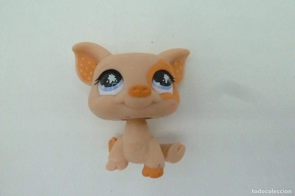 Mu&ntilde;ecas modernas: Littlest pet shop. Cerdito - Foto 5