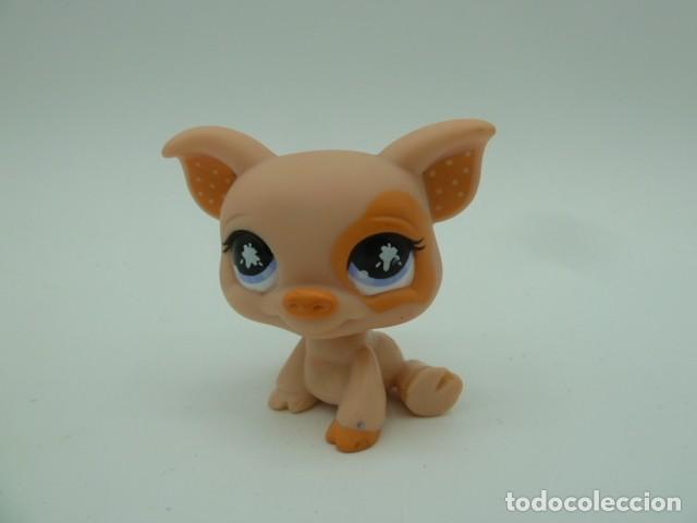 Mu&ntilde;ecas modernas: Littlest pet shop. Cerdito - Foto 1
