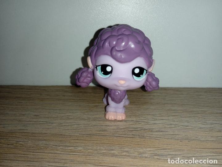 Littlest Pet Shop – Chien Caniche Brun Et Blanc #37, Yeux Mauves, Occasion