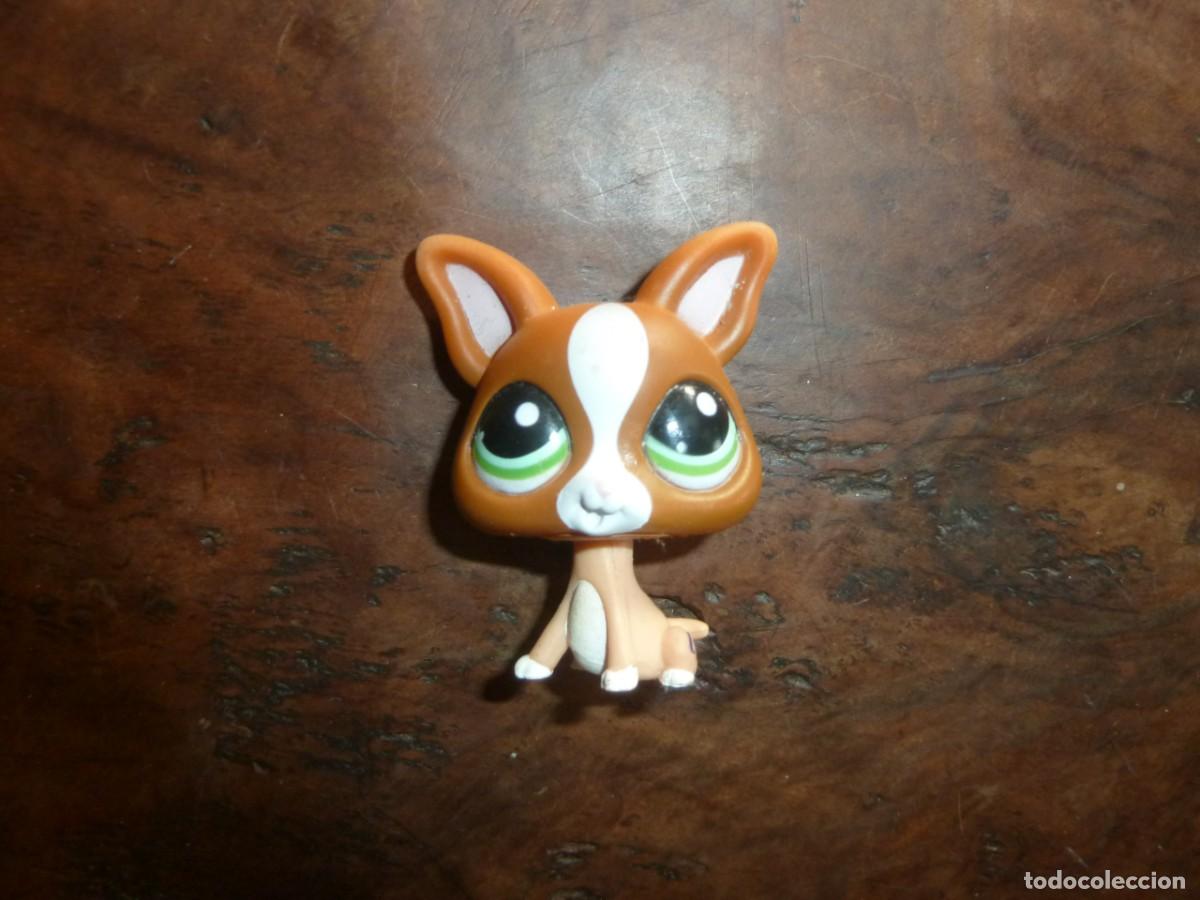 Mu&ntilde;ecas modernas: Littlest Pet Shop. Perrito Corgi - Foto 1