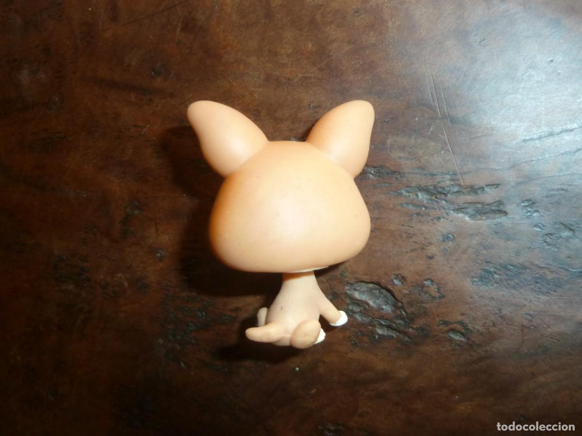 Mu&ntilde;ecas modernas: Littlest Pet Shop. Perrito Corgi - Foto 2