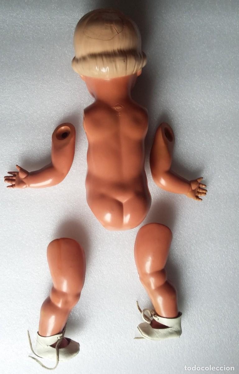 Mu&ntilde;ecas modernas: MU&Ntilde;ECA Schildkr&ouml;te-TORTUGA MADE IN GERMANY - Foto 2
