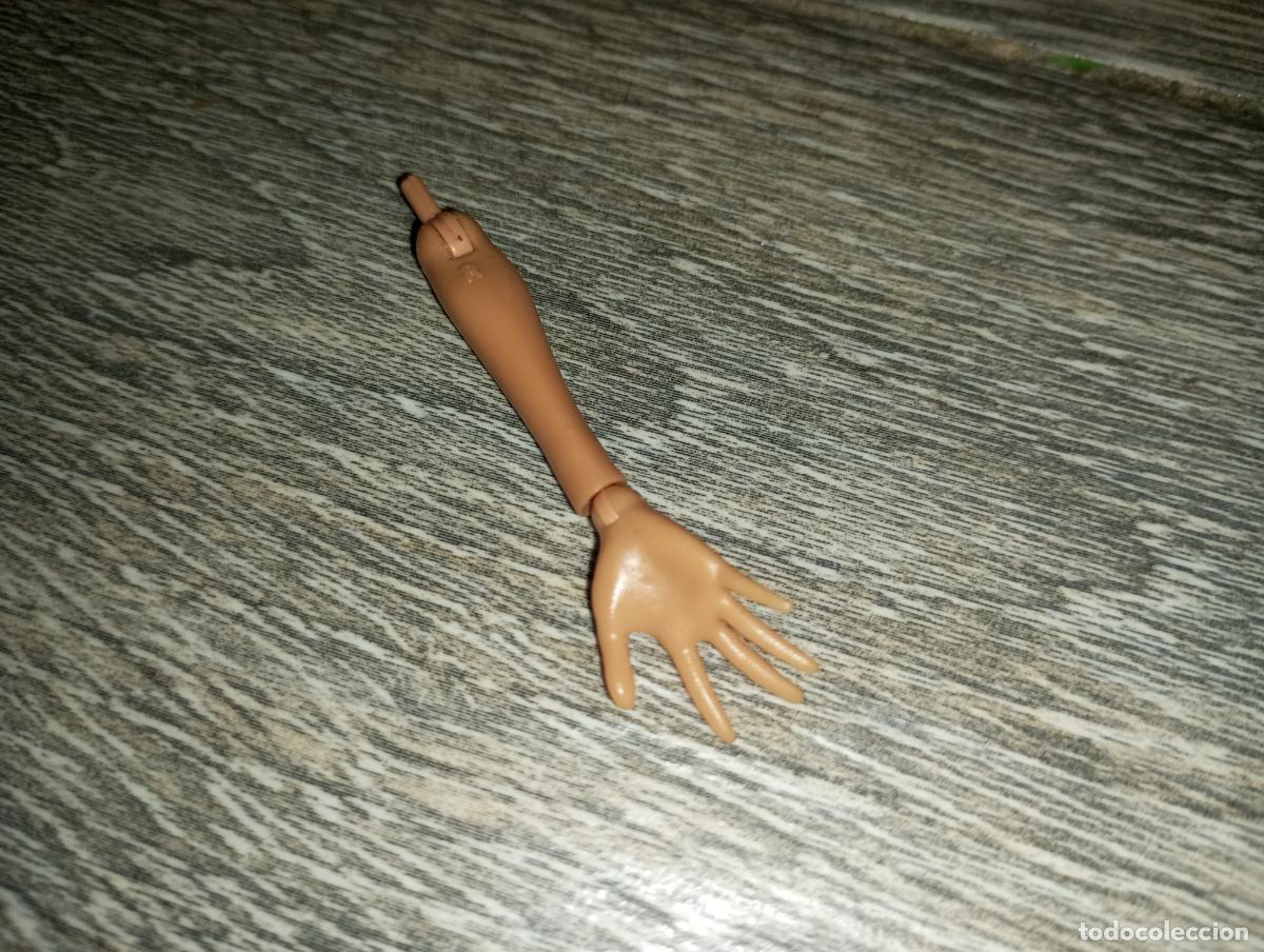 Mu&ntilde;ecas modernas: Brazo de mu&ntilde;eca Monster high - Foto 3