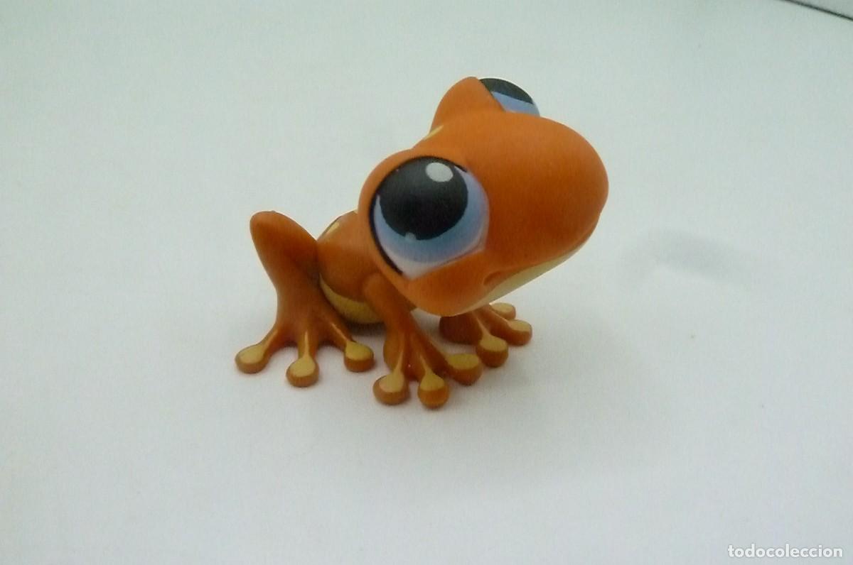 Mu&ntilde;ecas modernas: Littlest Pet Shop. Rana - Foto 1